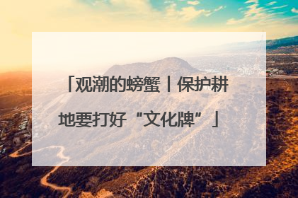 观潮的螃蟹丨保护耕地要打好“文化牌”